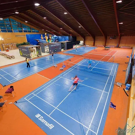 Hotel Matterhorn Valley Alpina Grächen